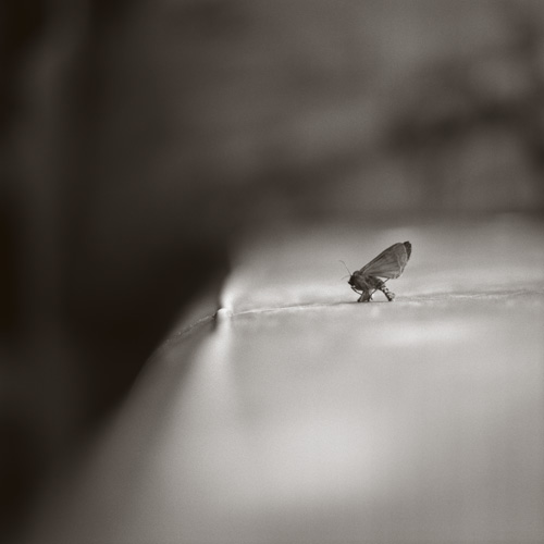 Beth Kientzle, On the Edge, (c) 2008